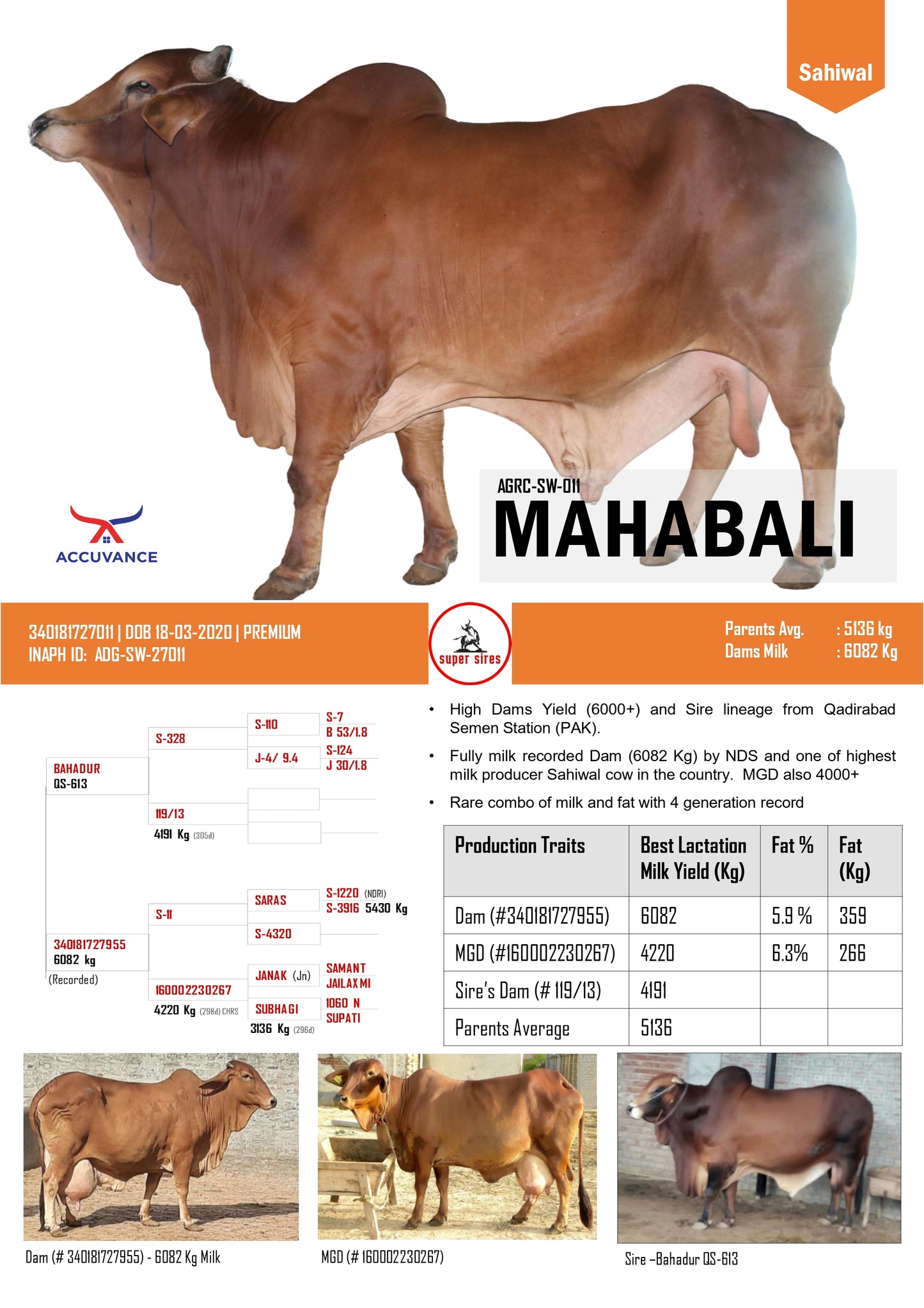 MAHABALI SAHIWAL ACCUVANCE SUPERSIRE