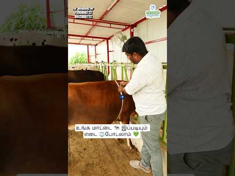 Cattle Weight Measurement Tap