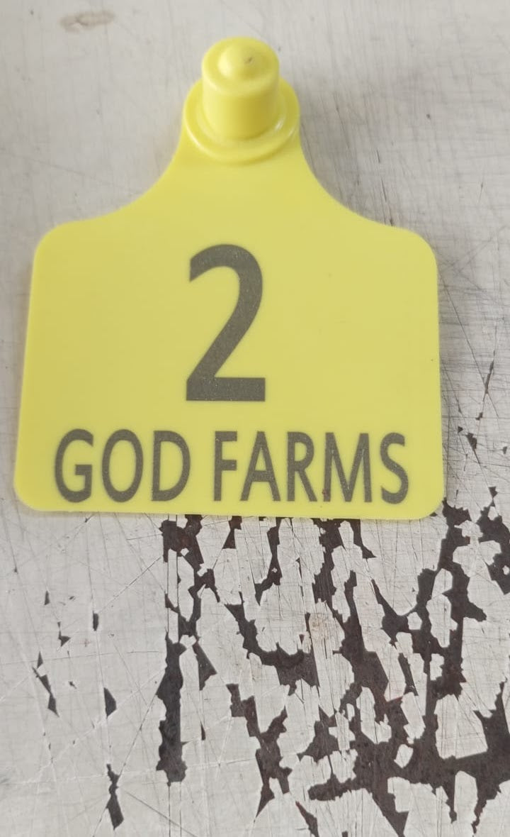 Customised Animal Tag For 100 Tags