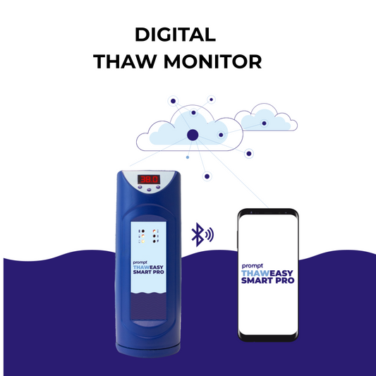 Digital Thaw Monitor