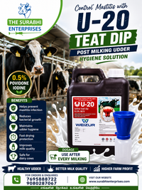 Teat Dip Liquid
