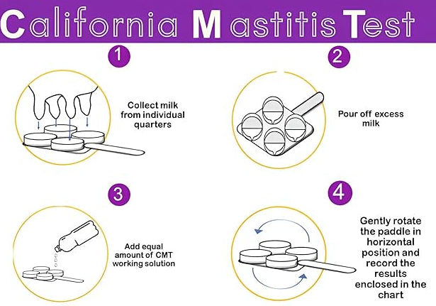 CMT-California Mastitis Test Liquid 500ml Bottle and Dispenser