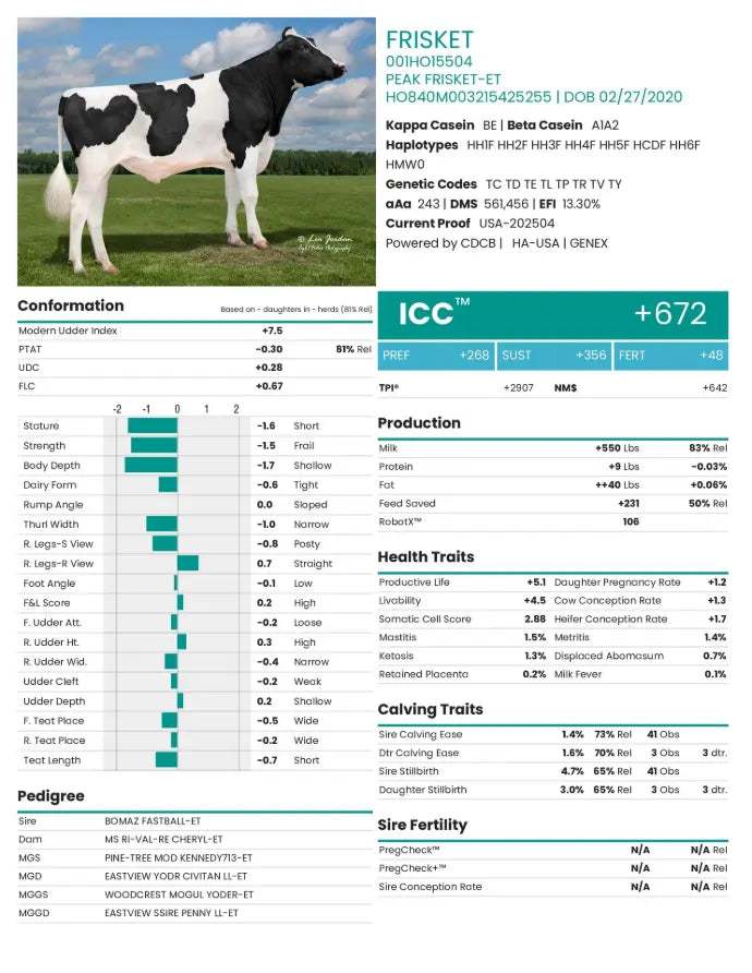 FRISKET HF CRI GENEX