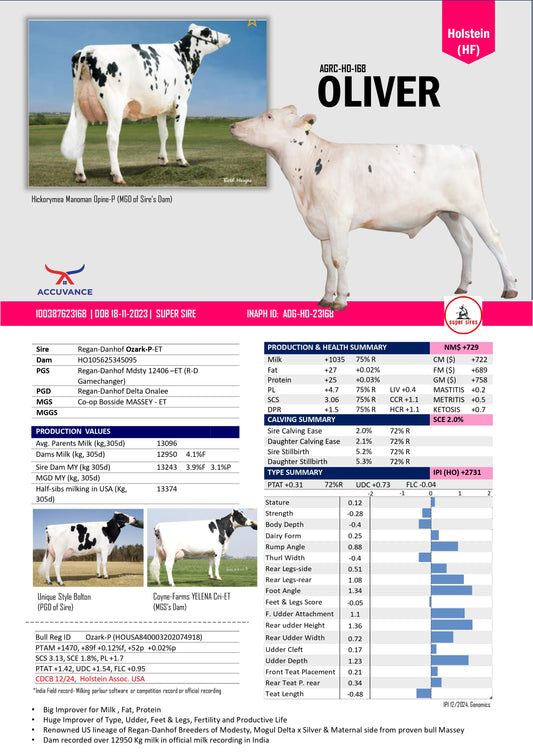 Oliver SuperSire Hf Accuvance