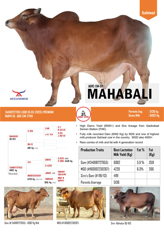 MAHABALI SAHIWAL ACCUVANCE SUPERSIRE