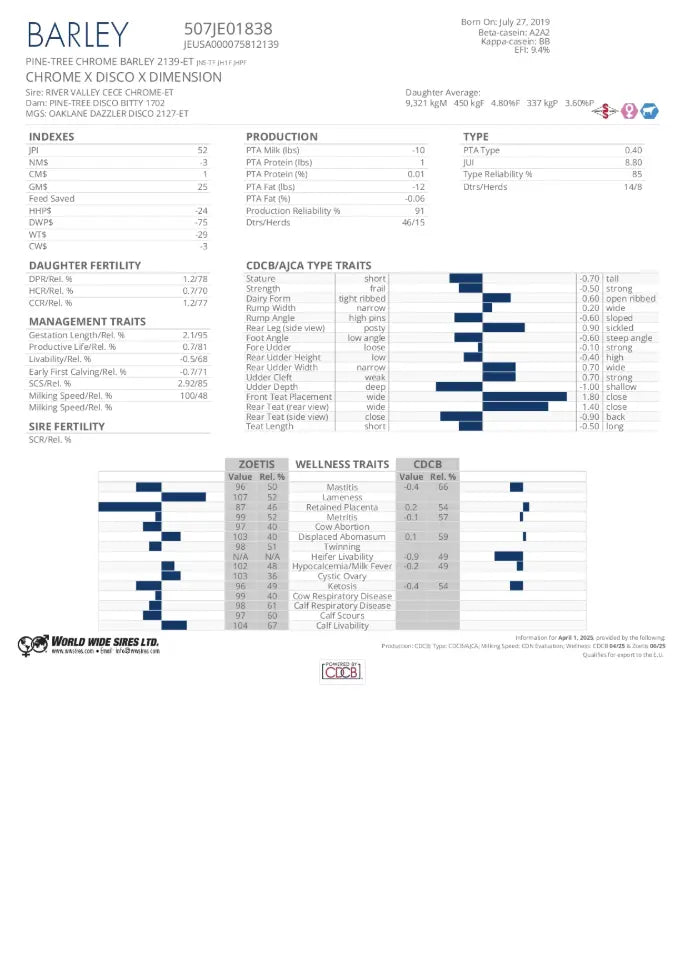 CHROME BARLEY JY WWS