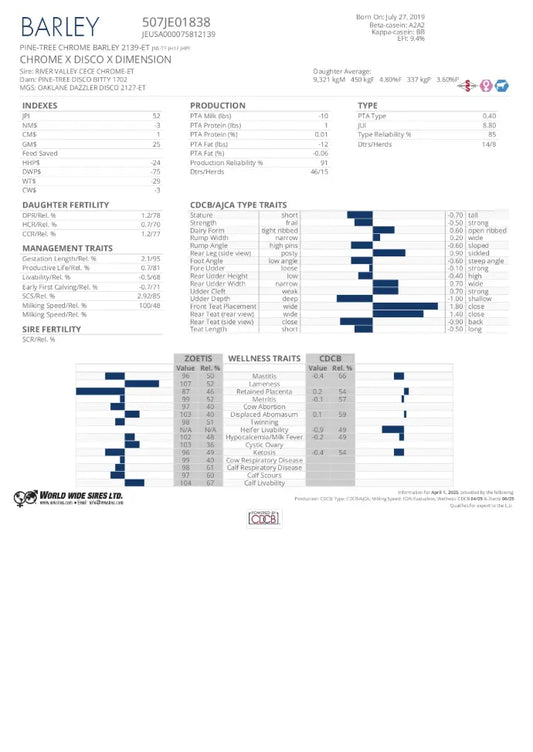 CHROME BARLEY JY WWS