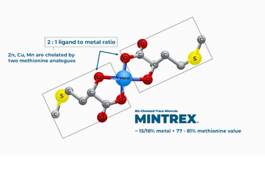 MINTREX® RUltra Trace Minerals