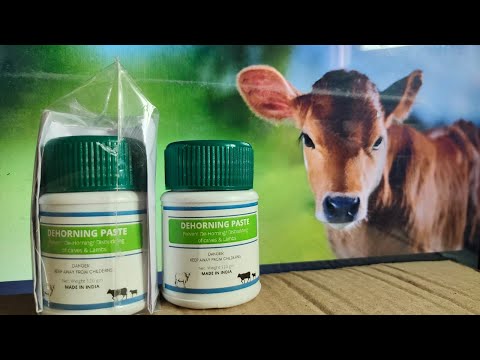 Dehorning Paste Farm Pack