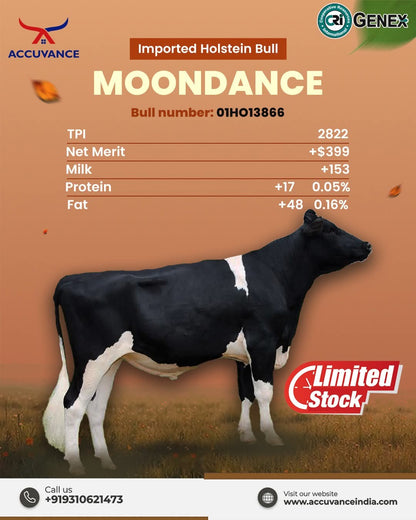 MOONDANCE HF CRI GENEX