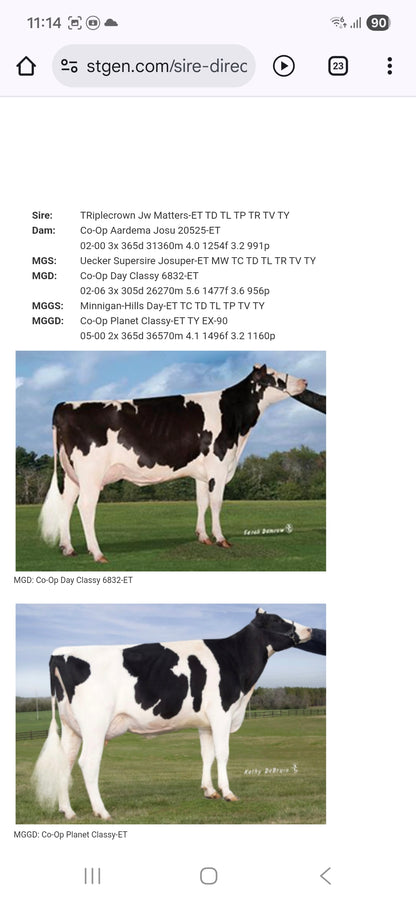 MOONDANCE HF CRI GENEX